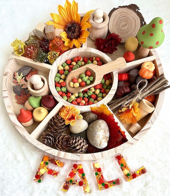 Fall sensory bin loose parts tinker tray, Montessori toy, Sensory kit, Fall sensory toy, Resin letters, Homeschool, Fine motor, Kids...