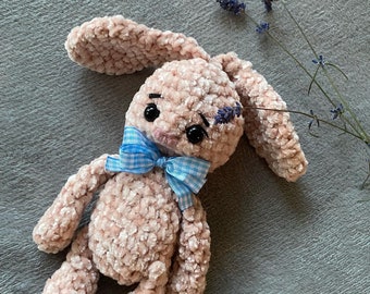 The toy bunny , rubby