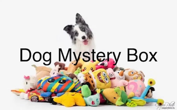 Dog Mystery Box Dog Toy Box Gift for Dog Mystery Gift Gifts for