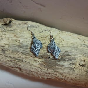 Shell earrings