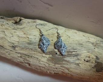 Shell earrings