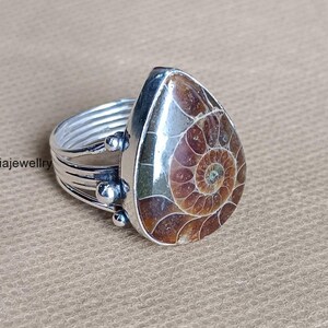 May include: A silver ring featuring a large, teardrop-shaped fossil. The fossil displays a detailed spiral pattern in shades of brown and tan, set in a polished silver band. The ring has a multi-band design.