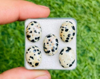 Cabochon all'ingrosso di diaspro dalmata, cabochon lisci e calibrati, pietra preziosa sfusa ovale 10 x 14 mm, grado AAA