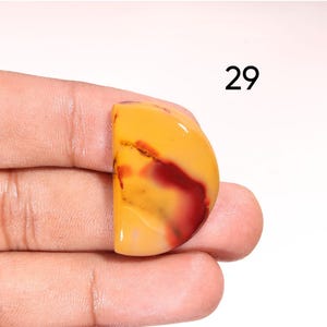 Puede incluir: Una gema pulida, semicircular, con una vibrante paleta de colores. La piedra presenta una base de amarillo dorado, acentuada con vetas burdeos y marrón rojizo. El número "29" está impreso en negro.