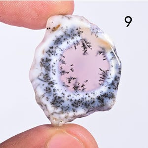 May include: A polished, irregularly shaped gemstone with a central pink area surrounded by white and gray patterns. The stone features black, tree-like inclusions and the number "9" in the upper right corner.
