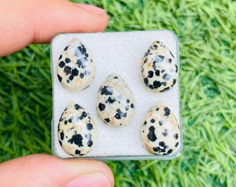 Cabochon AAA+ in diaspro dalmata, lisci e calibrati, pietra preziosa sfusa ovale 10 x 14 mm, grado AAA.