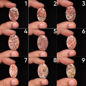 May include: Nine oval gemstones with diverse patterns and colours. The gemstones are held between fingers against a black background. Colours include red, brown, beige, and grey, with speckled and striped designs. Each stone is approximately 2.5 cm in length.