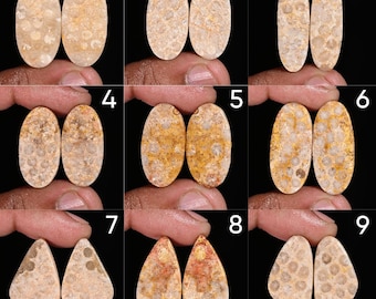 Coppia di coralli fossili di alta qualità, 100% naturali, cabochon, pietre preziose sfuse per realizzare orecchini