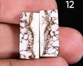 Wild Horse Magnesite Cabochon Matched Pair Lot: Jewelry Making
