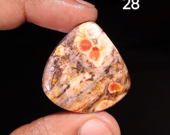 Cabochon di diaspro naturale occhio di uccello - Pietra preziosa a fondo piatto per gioielli