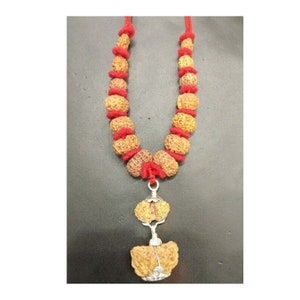 Rudraksha Siddha Mala - Collector Size /Combination of 1 Mukhi Till 14 Mukhi Rud