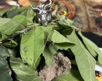 Vamplre Transformation Relic Supreme PowerSmashan Kali Real Wealth Power Ring A+
