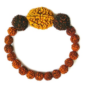 Rudraksha Rudraksha 2&5 Mukhi (Face) Beads Mala Wrist band bracelet