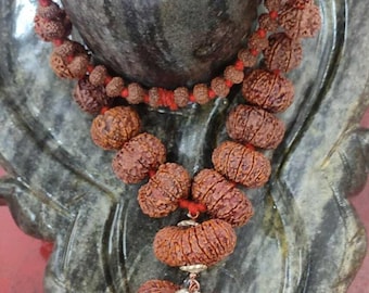 Certified Original INDRAKSHI Rudraksha mala combination 1to 21 Rudraksha Sidhha Mala
