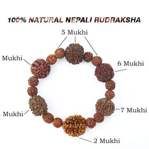 2 to 7 Mukhi Rudraksha Certified BRACELET, Rudraksh Bracelet, Genuine Beads Bracelet
