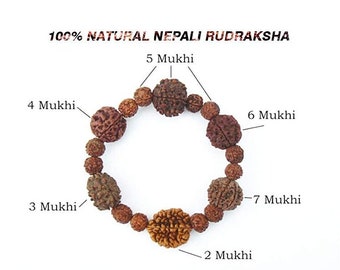 2 to 7 Mukhi Rudraksha Certified BRACELET, Rudraksh Bracelet, Genuine Beads Bracelet
