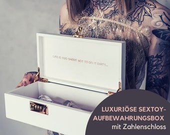 Luxury sex toy storage box with combination lock