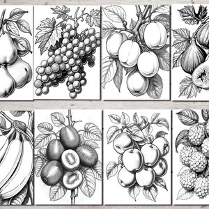 Peut inclure: Illustrations en noir et blanc de diff&eacute;rents fruits et l&eacute;gumes, notamment des poires, des raisins, des prunes, des figues, des bananes, des kiwis, des pommes et des m&ucirc;res.