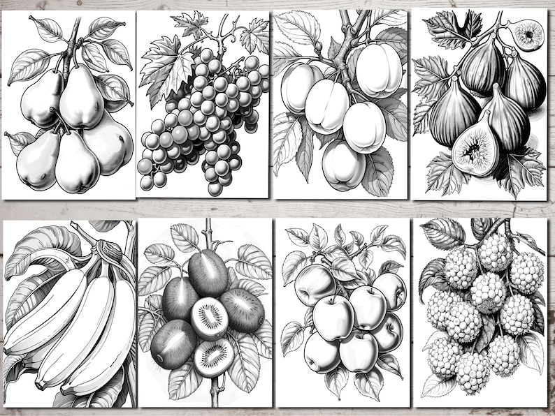 Peut inclure: Illustrations en noir et blanc de diff&eacute;rents fruits et l&eacute;gumes, notamment des poires, des raisins, des prunes, des figues, des bananes, des kiwis, des pommes et des m&ucirc;res.