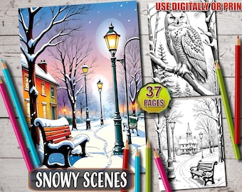 Winter Wonderland Coloring Book: 37 Snowy Scenes, Cozy Landscapes (PDF Download)