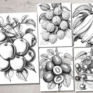Peut inclure: Illustrations en noir et blanc de diff&eacute;rents fruits, notamment des pommes, des bananes, des cerises, des kiwis et des framboises.