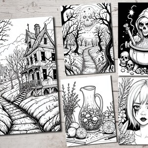 May include: A set of four black and white illustrations featuring spooky and gothic themes. The illustrations include a haunted house, a spooky forest path, a witch's cauldron, and a gothic girl with dark eyes.