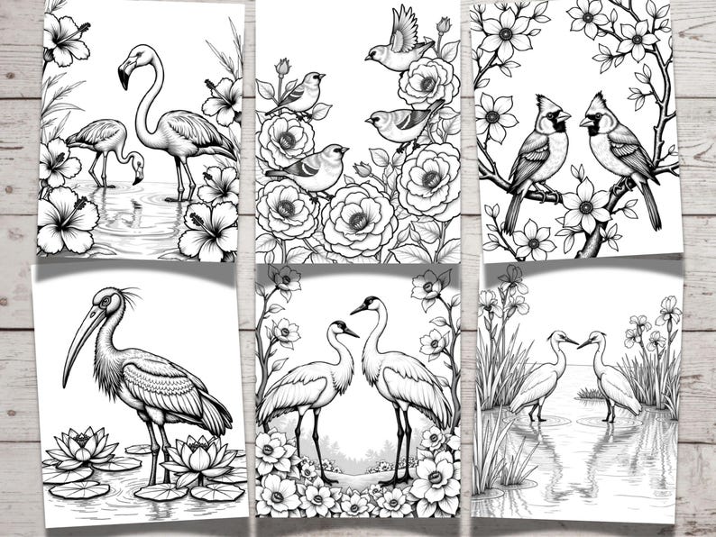 60 Floral Floral Bird Coloring Book Printable Floral Coloring Book