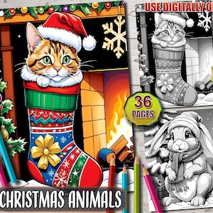 May include: A coloring book featuring a cat and a rabbit wearing Santa hats and sitting in Christmas stockings. The book cover has the text "Christmas Animals" and "36 Pages".