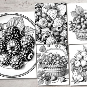 Peut inclure: Illustrations en noir et blanc de diff&eacute;rents fruits dans des paniers. Les illustrations comprennent des m&ucirc;res, des myrtilles, des fraises et des p&ecirc;ches.
