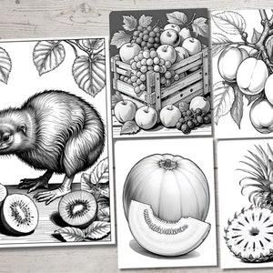 Peut inclure: Une illustration en noir et blanc d'un kiwi debout sur une feuille avec deux kiwis &agrave; c&ocirc;t&eacute;. Il y a d'autres illustrations de fruits, notamment des pommes, des raisins, une citrouille et un ananas.