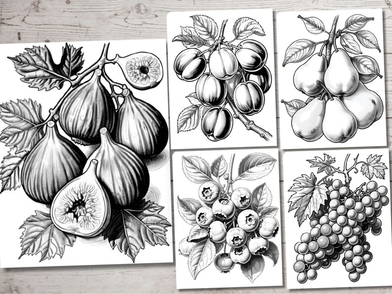 Peut inclure: Un ensemble de quatre illustrations en noir et blanc repr&eacute;sentant diff&eacute;rents fruits. La premi&egrave;re image montre une branche de figues, la deuxi&egrave;me montre une branche de prunes, la troisi&egrave;me montre une branche de poires et la quatri&egrave;me montre une grappe de raisin.