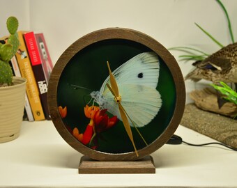 Natur in Ihrem Zuhause, Epoxy Holzschmetterling Uhr, Natur, Aquarium Nachtlichter