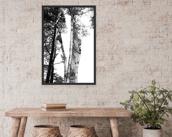 Tree landscape digital wall art - Instant downloadable black and white photography print for home or gift - perfect gift, 5 sizes jpeg