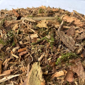 May include: A collection of natural wood mulch consisting of various brown wood chips, small twigs, and pieces of tree bark mixed with patches of green moss and a few dried leaves, creating a textured, organic, and earthy ground cover.