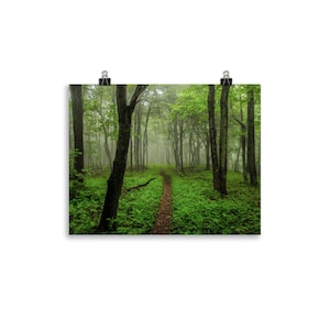 Appalachian Trail Nature Print