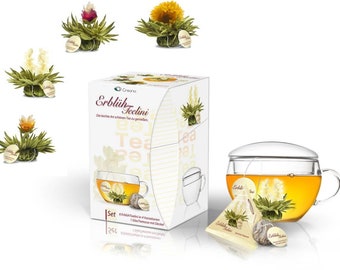 Creano ErblühTeelini Teeblumen Geschenkset mit Teeglas und 8 Teeblumen im Tassenformat, Weißer Tee, Geschenk für Frauen, Mutter, Teeliebhabe