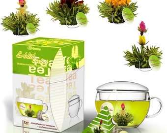Creano ErblühTeelini Teeblumen Geschenkset mit Teeglas und 8 Teeblumen im Tassenformat, grüner Tee, Geschenk