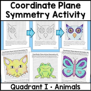 Animal Symmetry Coordinate Plane Mystery Picture Math Graphing Activity in Quadrant I