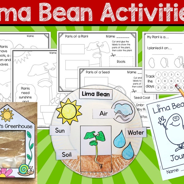 Fun Activities While Growing Lima Bean Plants for Kids in the Classroom