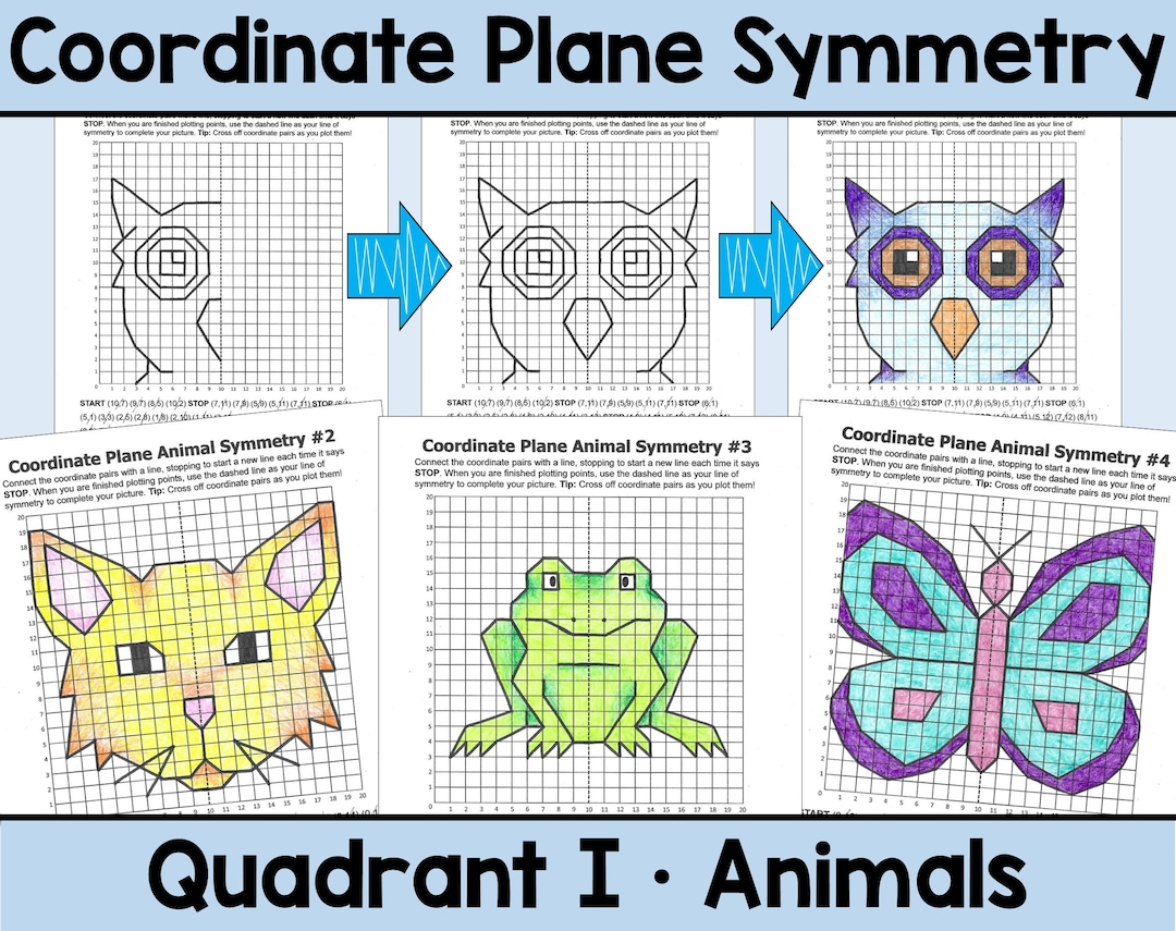 Animal symmetry coordinate plane mystery picture math graphing activity
