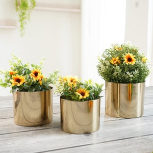 Gold Metal Cylindrical Planter for Home Decor |Decorative Plant Pot for Indoor Living Room | Centerpiece | Festival Gifts, Birthday Gift