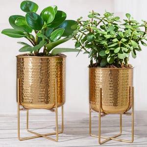 Hand Hammered Gold Metal Planter for Home Decor | Decorative Plant Pot for Indoor Living Room | Best for Birthday Gift | Father's Day Gift