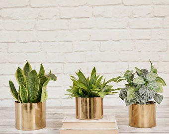 Gold Metall zylindrische Pflanzer für Wohnkultur | Dekorativer Blumentopf für Indoor Wohnzimmer | Festival Geschenke | Golden, Muttertagsgeschenk