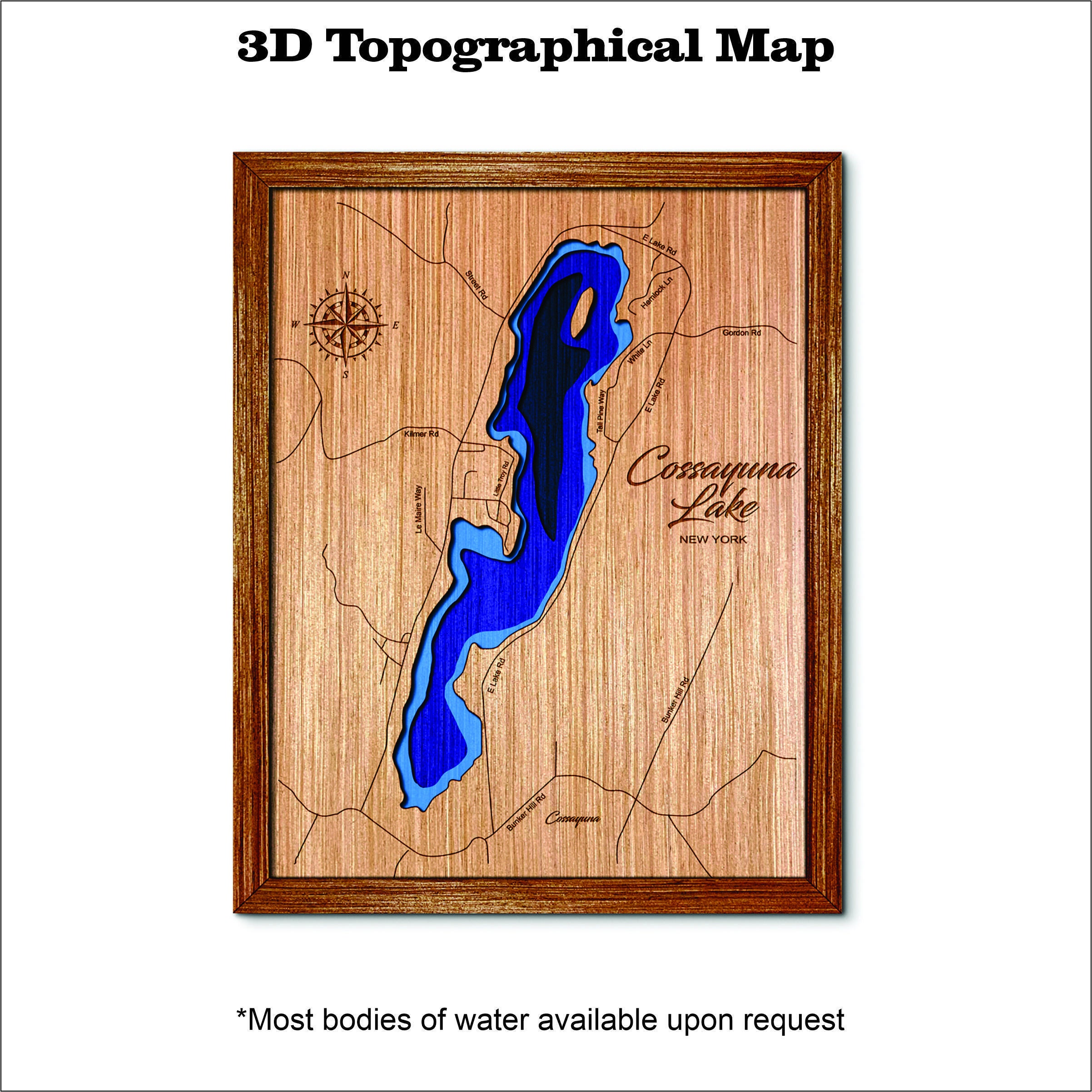 Cossayuna Lake in New York 3D Topographical Map Etsy