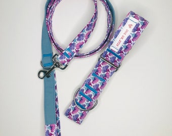 greyhound martingale