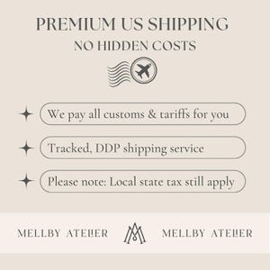 May include: A beige informational graphic with dark text reading PREMIUM US SHIPPING NO HIDDEN COSTS, an airplane icon, and three bullet points: We pay all customs & tariffs for you, Tracked, DDP shipping service, and Please note: Local state tax still apply.