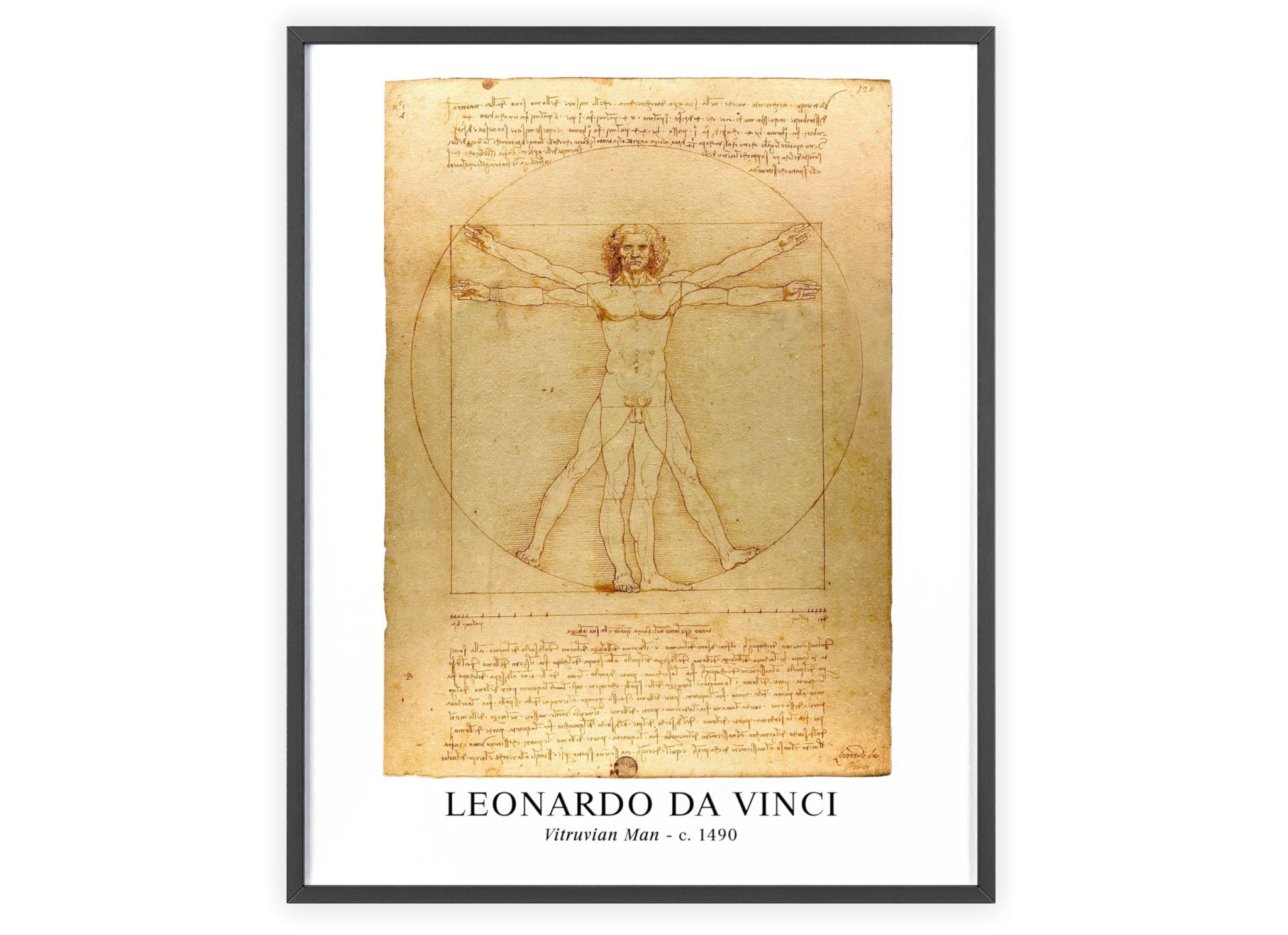 Leonardo Da Vinci vitruvian Man C 1490 Unframed Fine Art Print Etsy