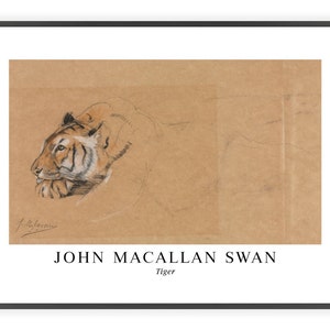 John Macallan Swan - &quot;Tiger&quot; | Unframed Fine Art Print