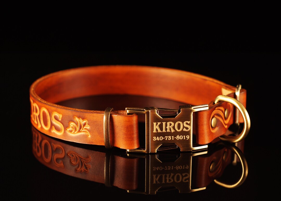 Personalized Dog Collar Leather Dog Collar With Phone Number Etsy