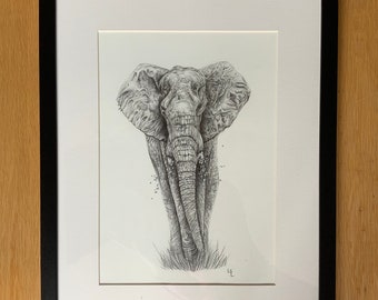 Original Elephant Framed Pencil Drawing